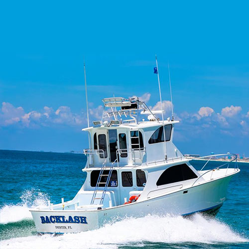 offshore fishing trips