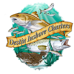 Destin Inshore Charters