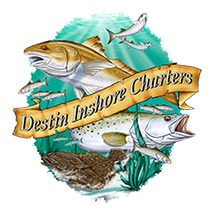 Destin Inshore Charters logo